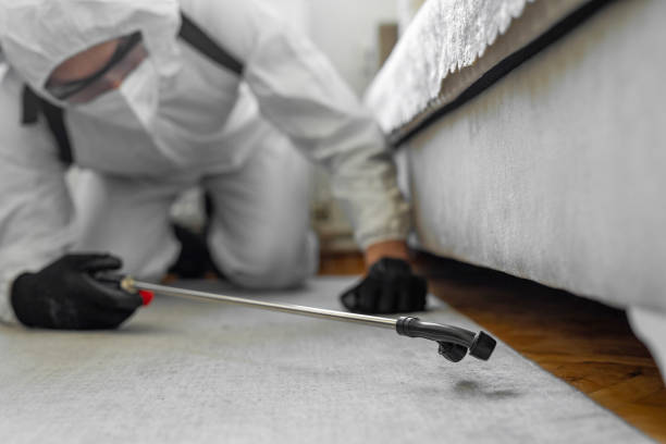 Professional Pest Control technician working in Lakeland Village, CA