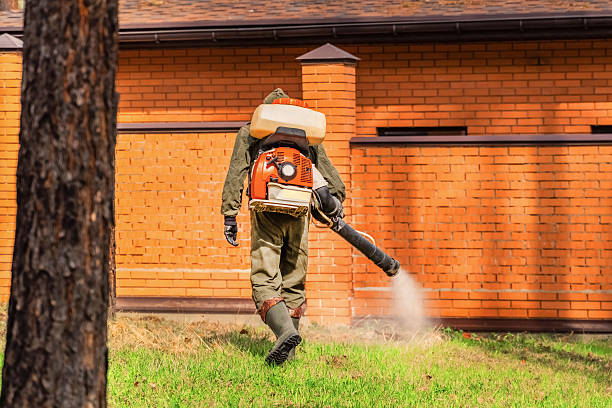 Trusted Mosquito Control service in Lakeland Village, CA - Nex Pest Control